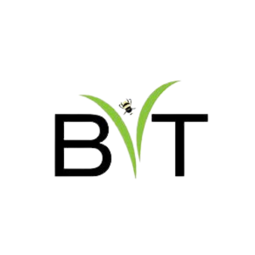 bvt-LOGO4
