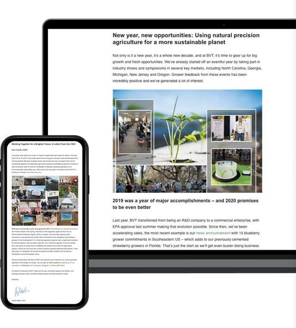 bvt-newsletter-1 bvt-newsletter-1